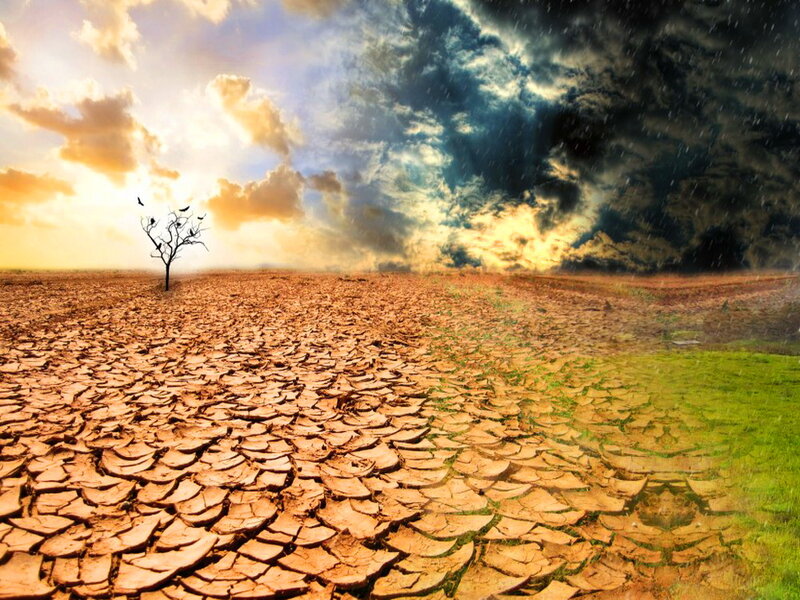Cracked Dry Land