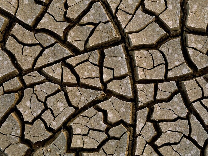 Cracked Dry Mud — Brown