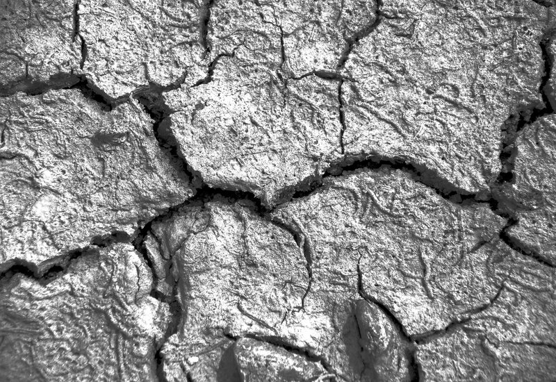Cracked Dry Mud — Gray, Arid