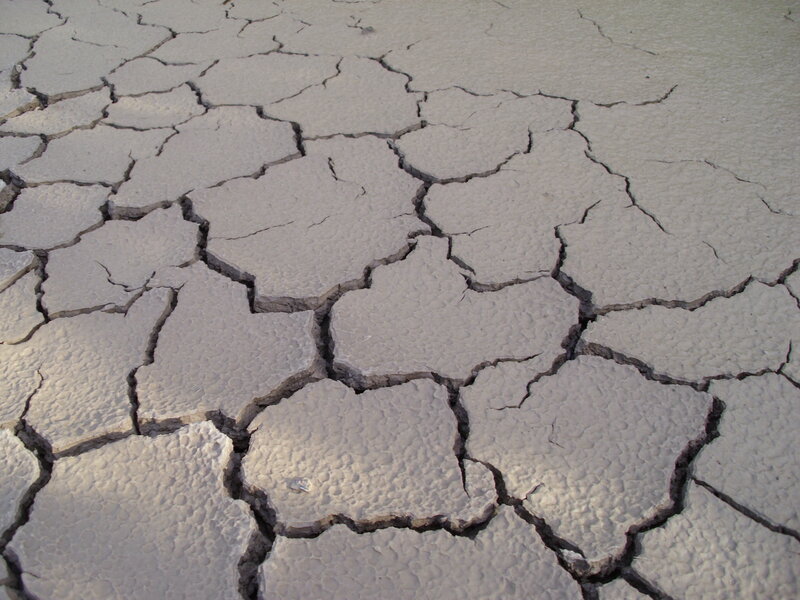 Cracked Dry Mud — Gray