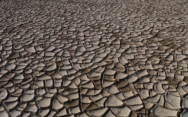 cracked dry mud surface