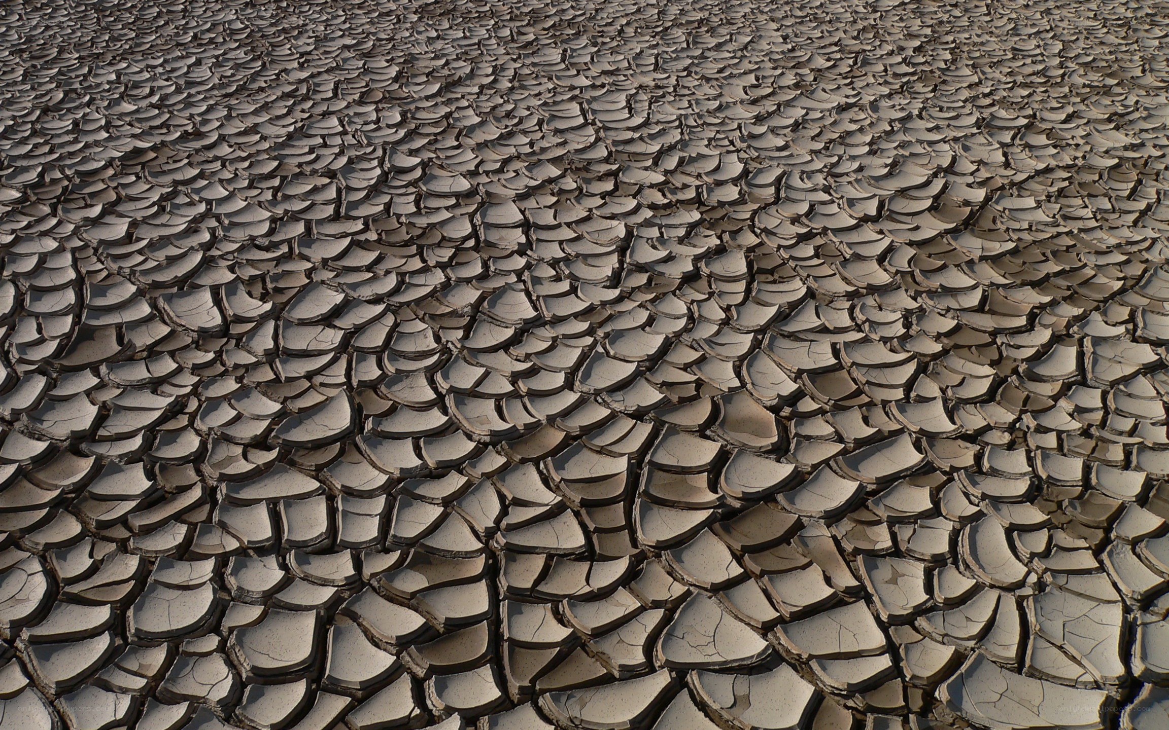 cracked dry mud surface