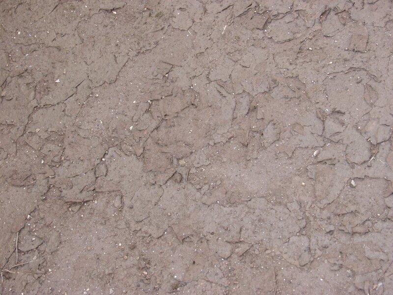 cracked dry mud surface
