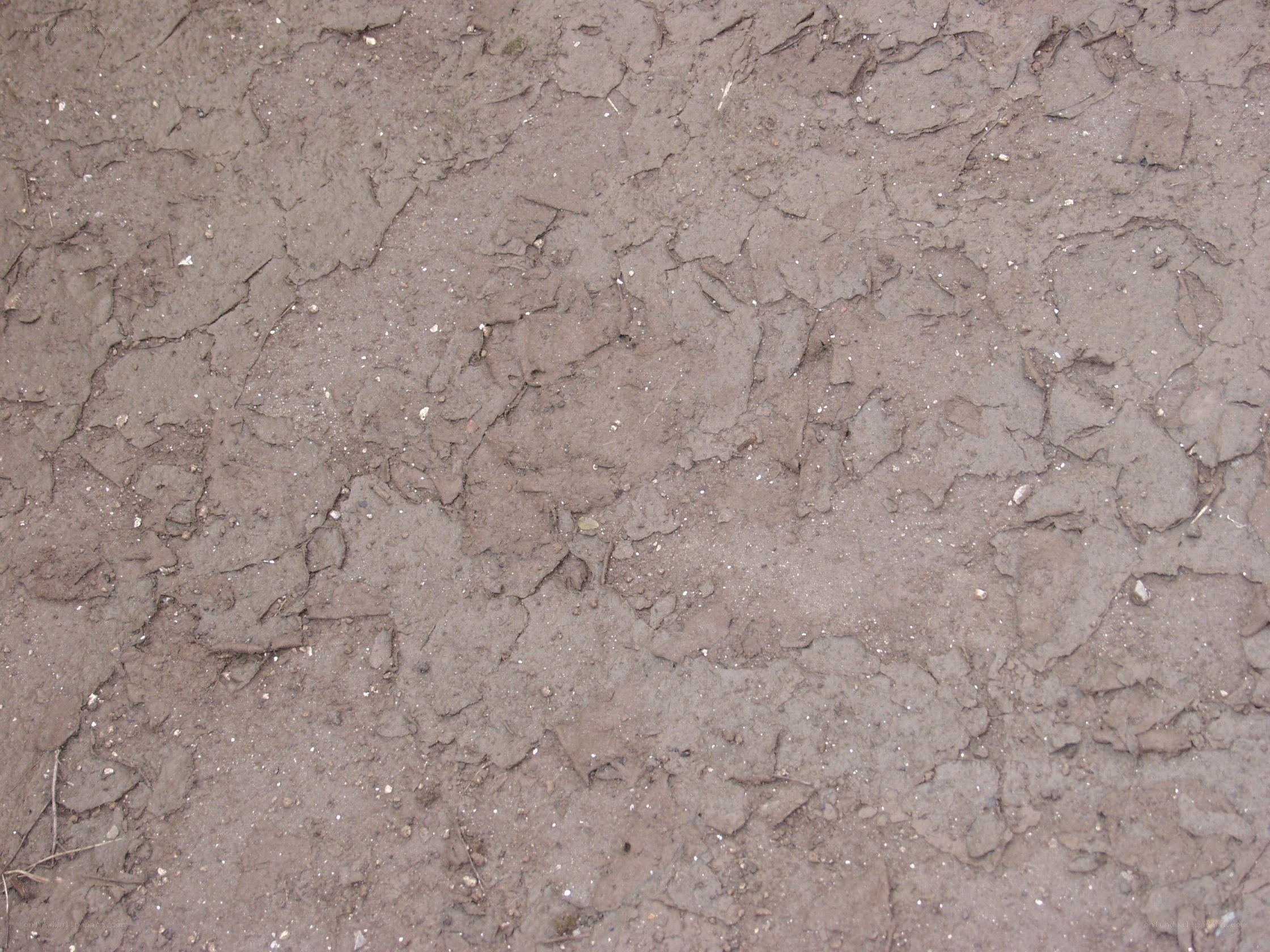 cracked dry mud surface