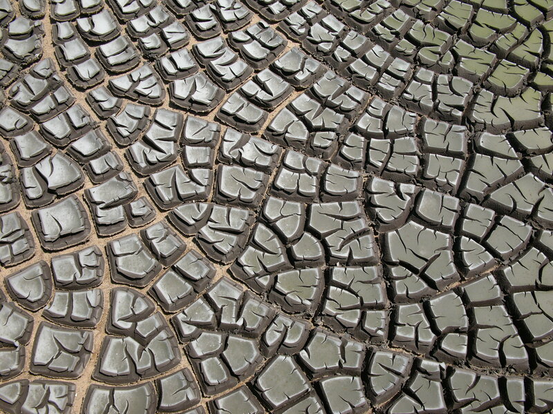Cracked dry mud surface