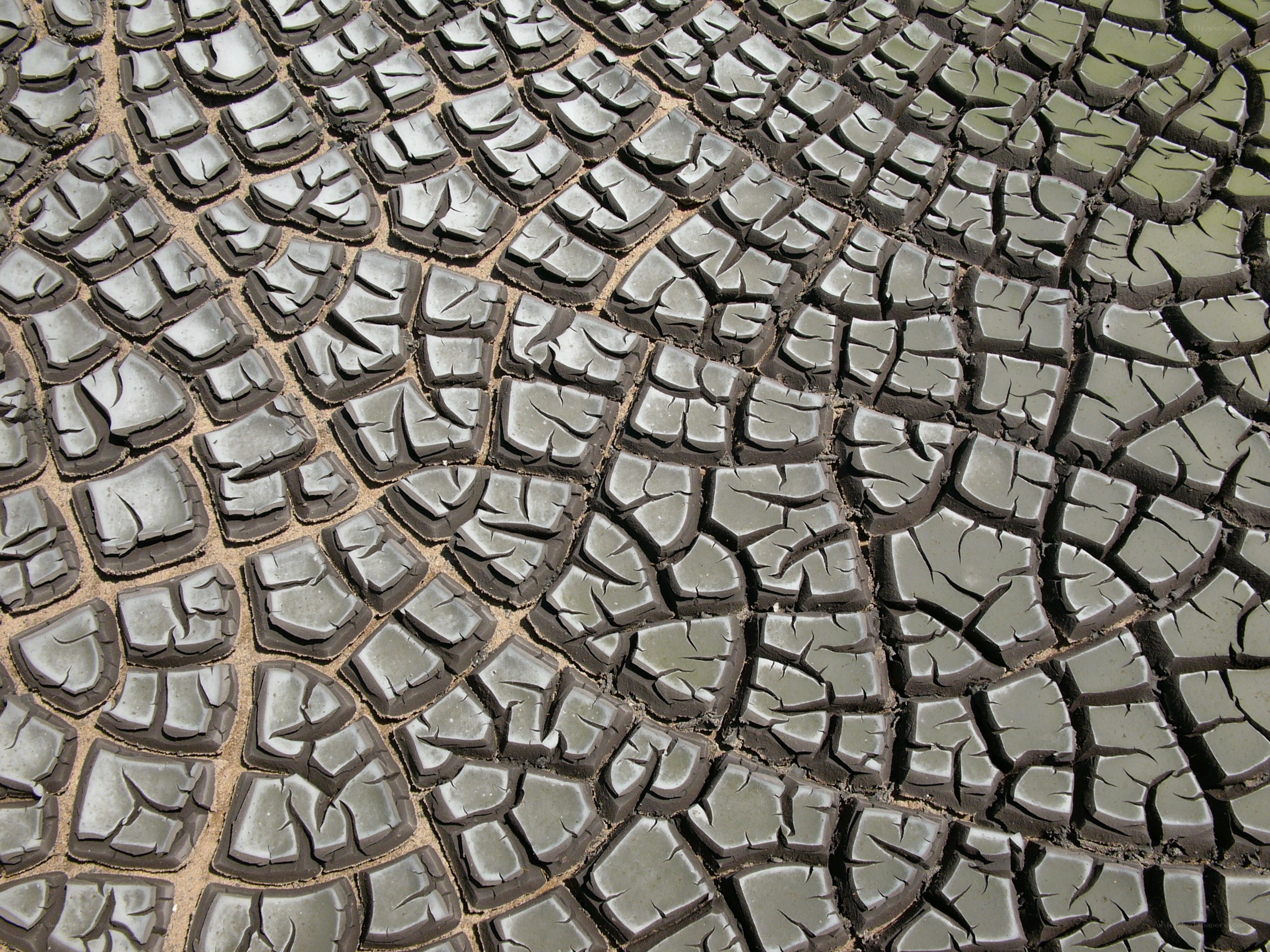 Cracked dry mud surface
