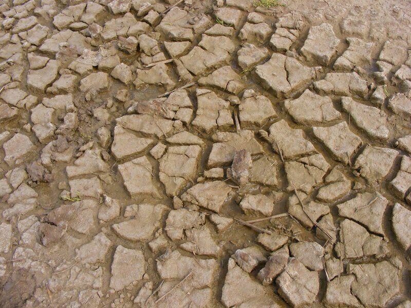 cracked dry mud surface