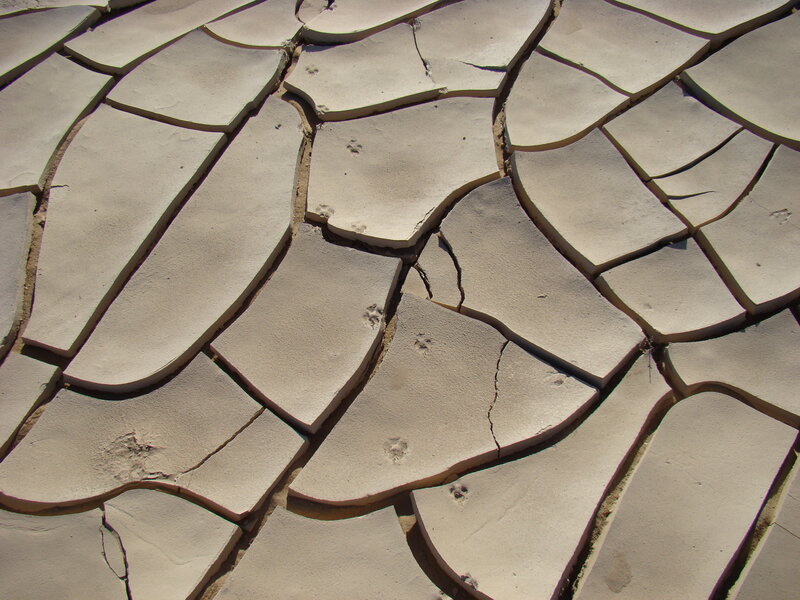 cracked dry mud surface