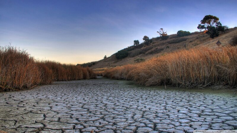 Cracked Dry Riverbed — Brown