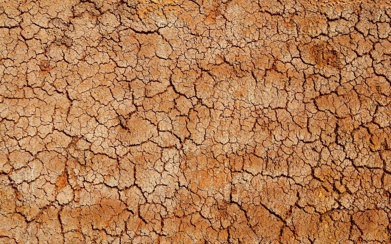 Cracked Dry Soil — Arid