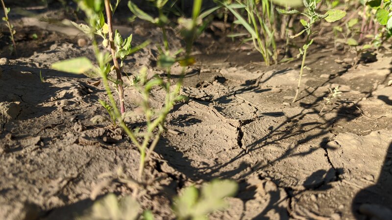 Cracked Dry Soil — Brown, Afternoon