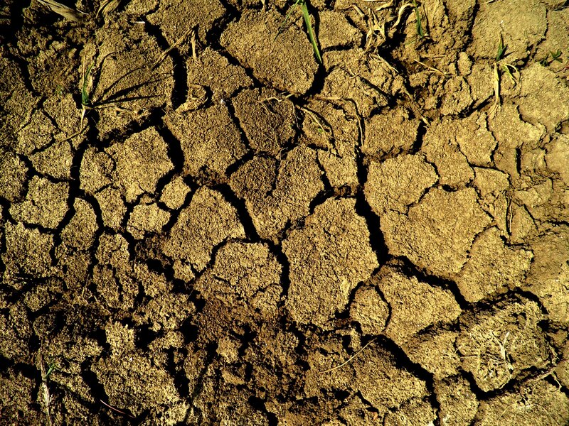 Cracked Dry Soil — Brown, Arid, Afternoon
