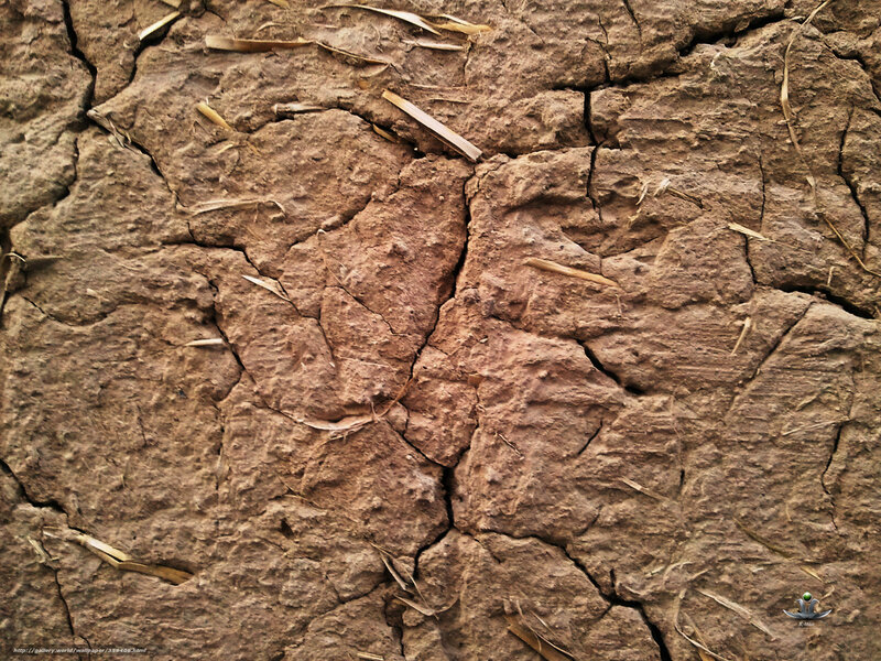 Cracked Dry Soil — Brown, Arid, Photograph, Dirt