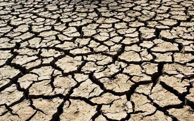 Cracked Dry Soil — Brown
