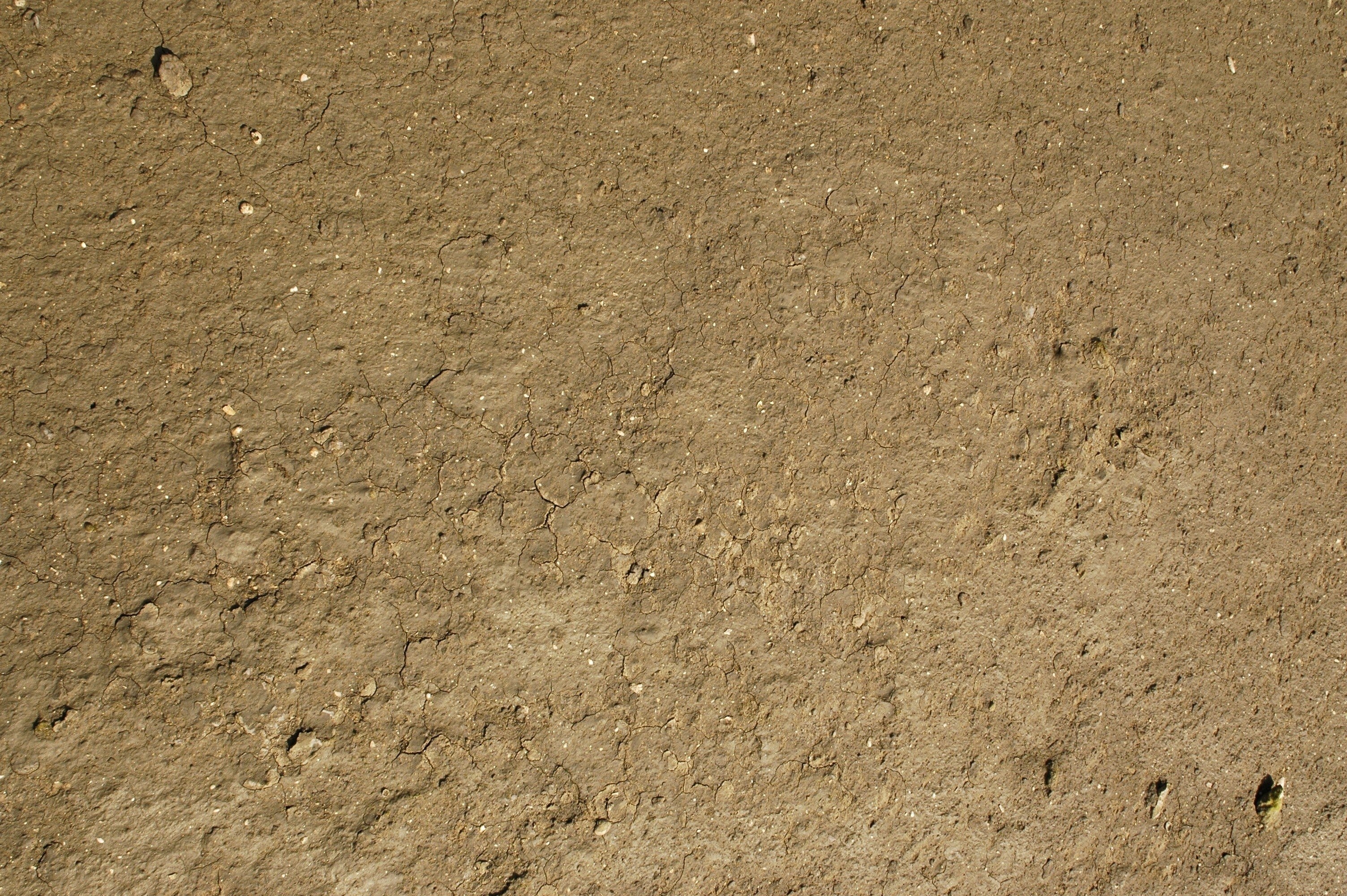 cracked dry soil surface
