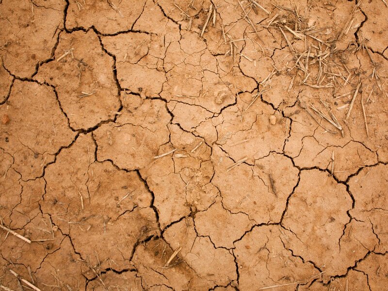 cracked dry soil surface
