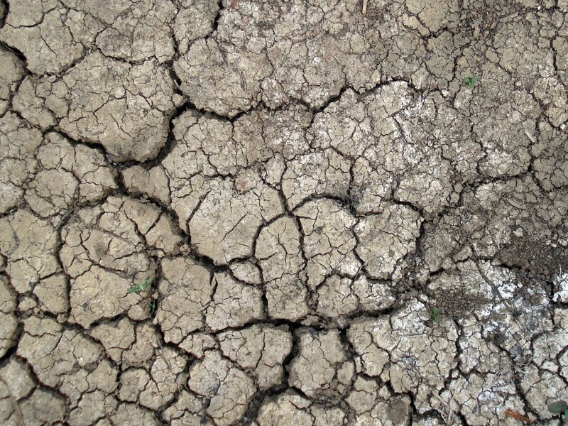 cracked dry soil surface