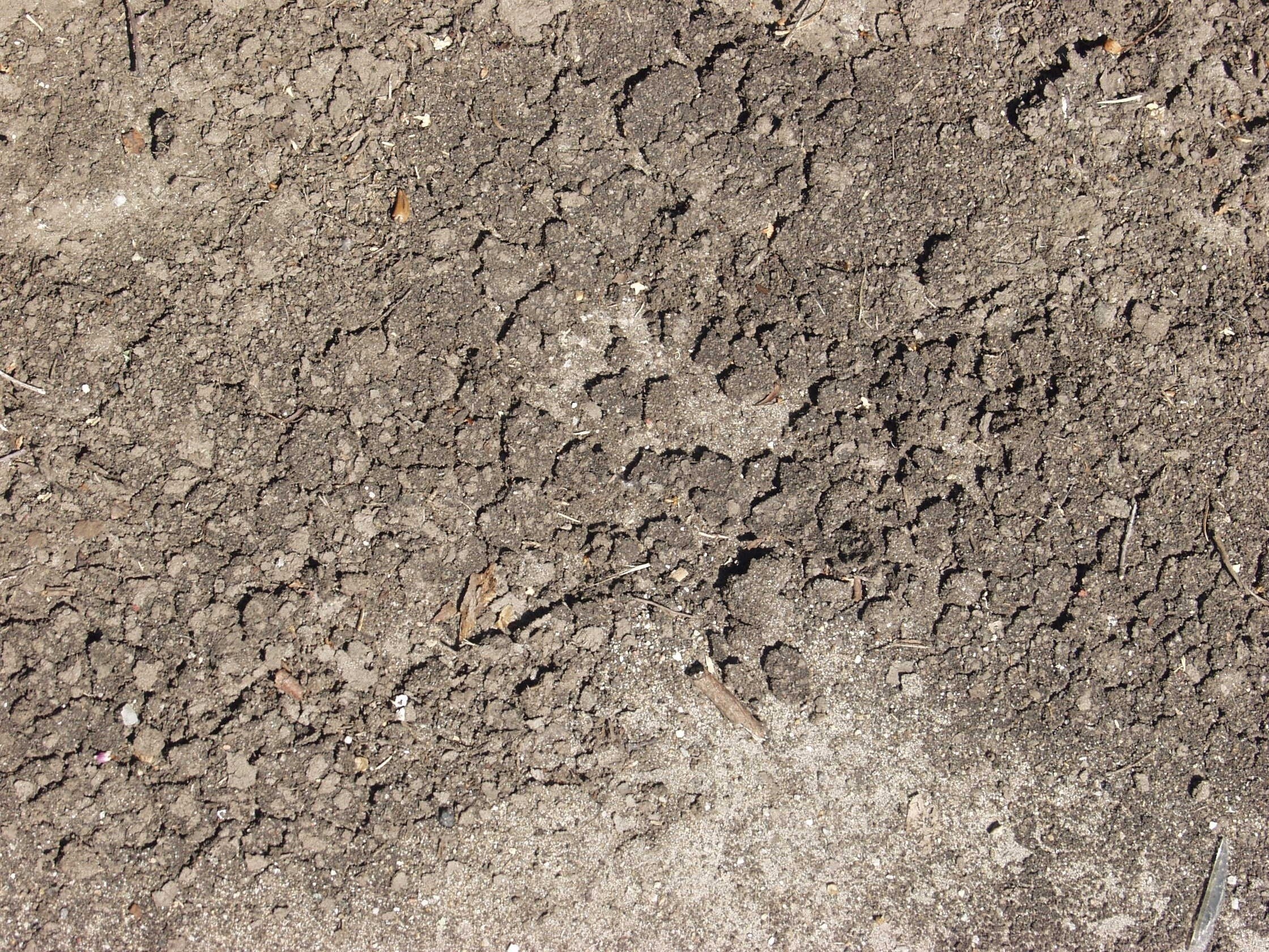 cracked dry soil surface