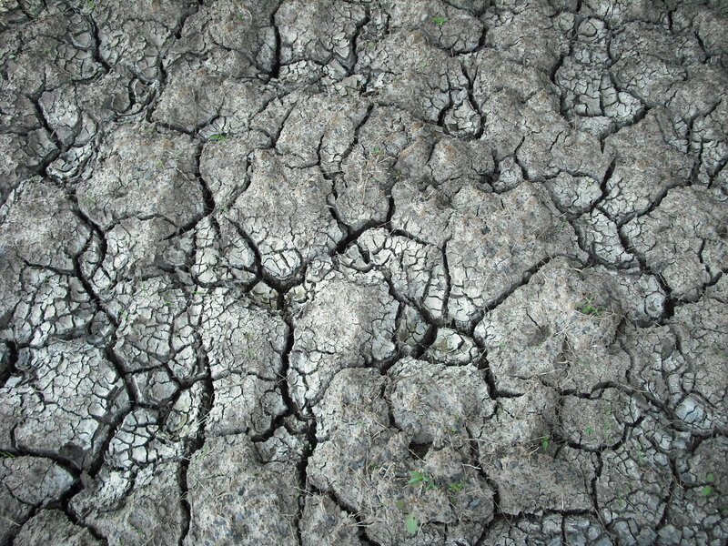 Cracked Dry Soil