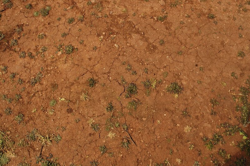 cracked dry soil with sparse plants