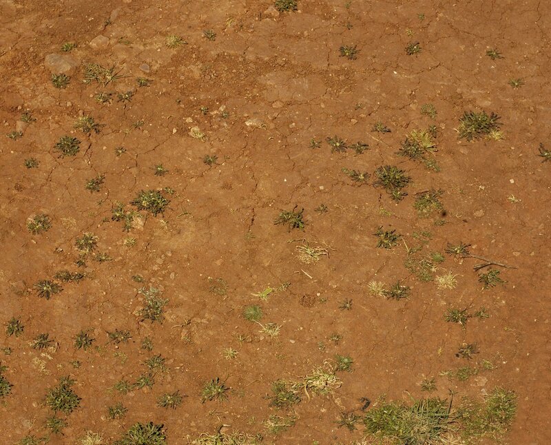 cracked dry soil with sparse plants
