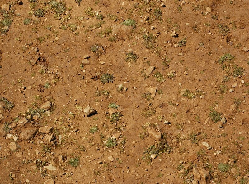 cracked dry soil with sparse plants