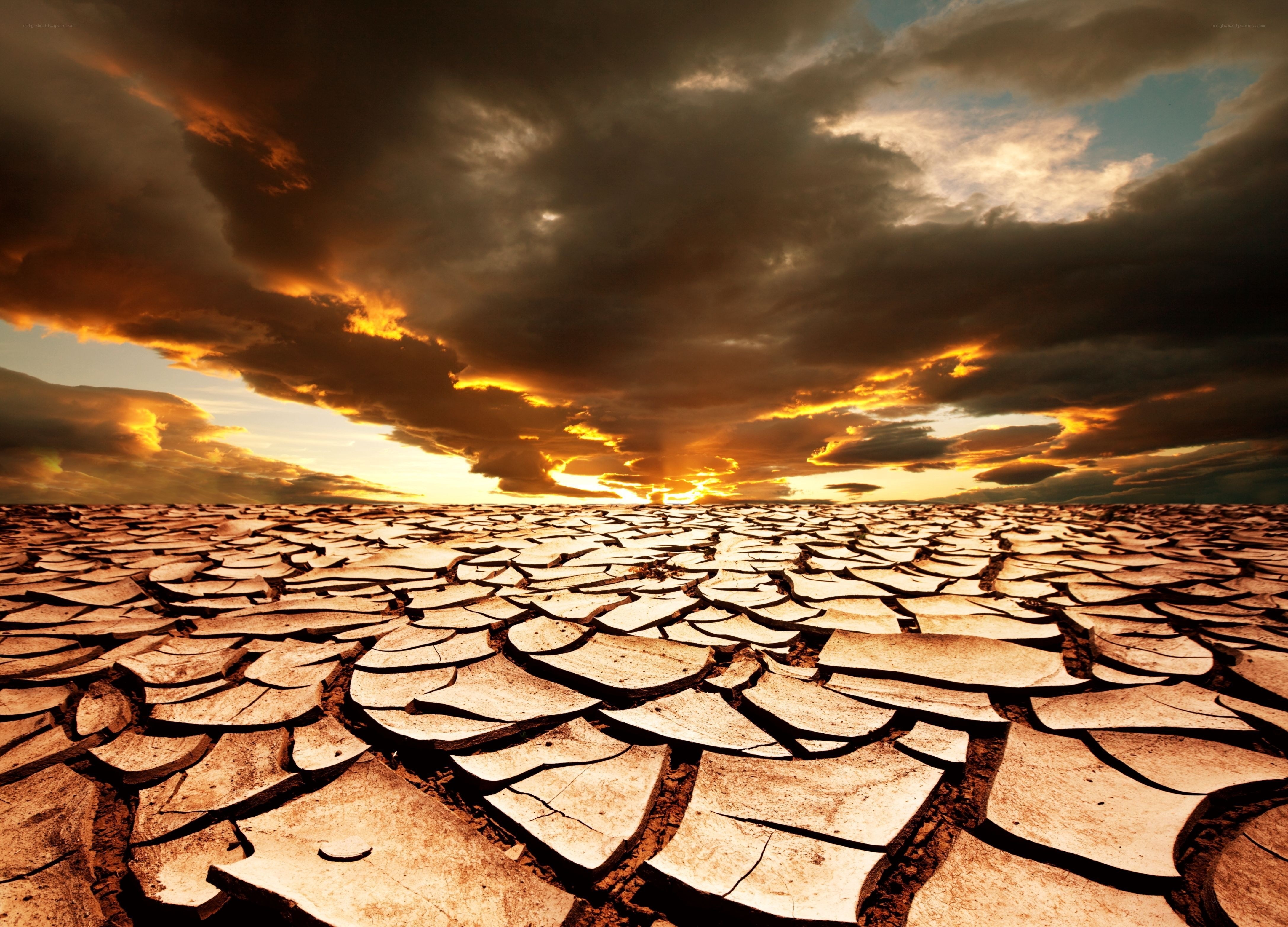 Cracked Earth at Sunset