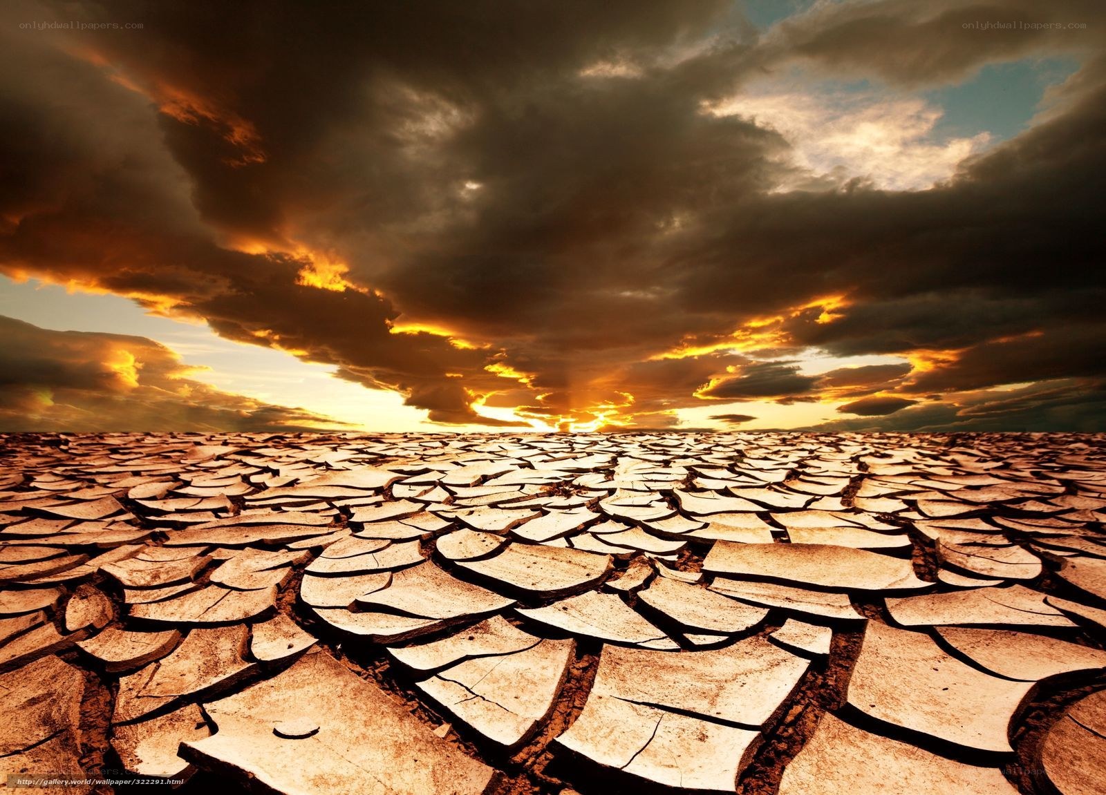 Cracked Earth at Sunset