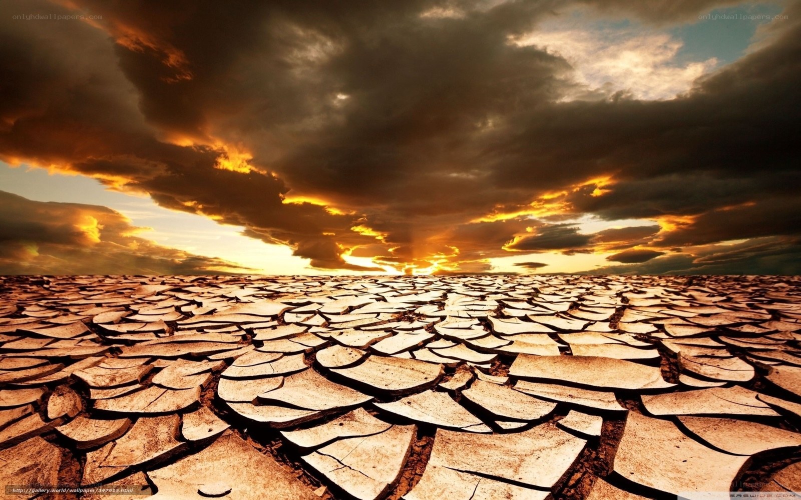 Cracked Earth at Sunset