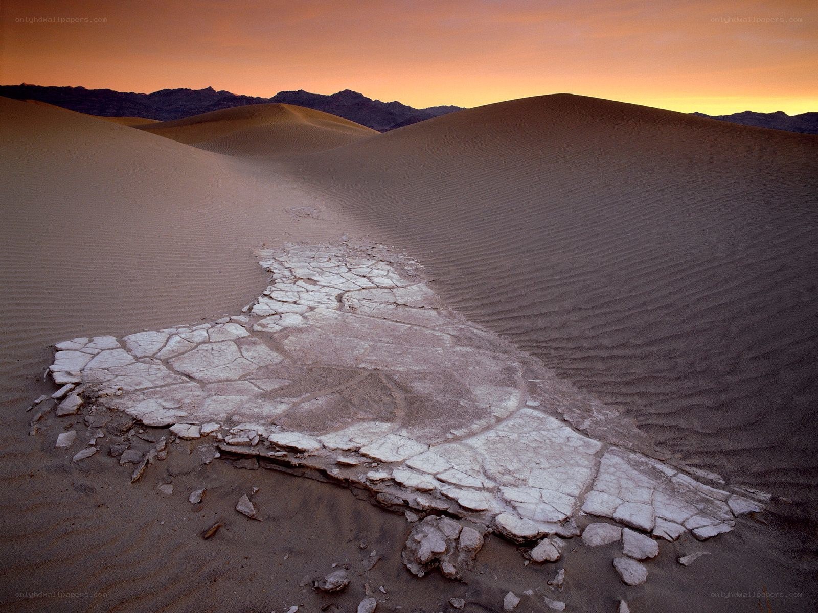 cracked earth in desert dunes