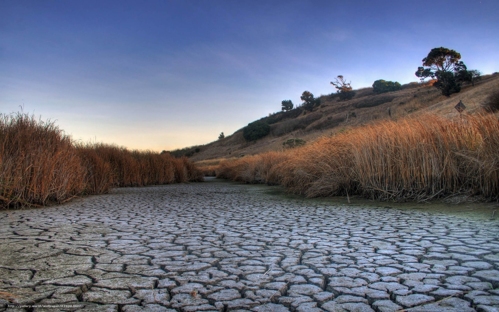 Cracked earth in dry landscape