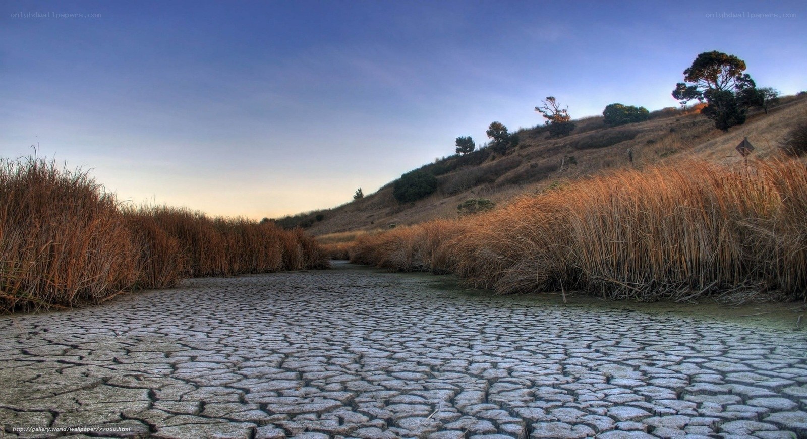 Cracked earth in dry landscape