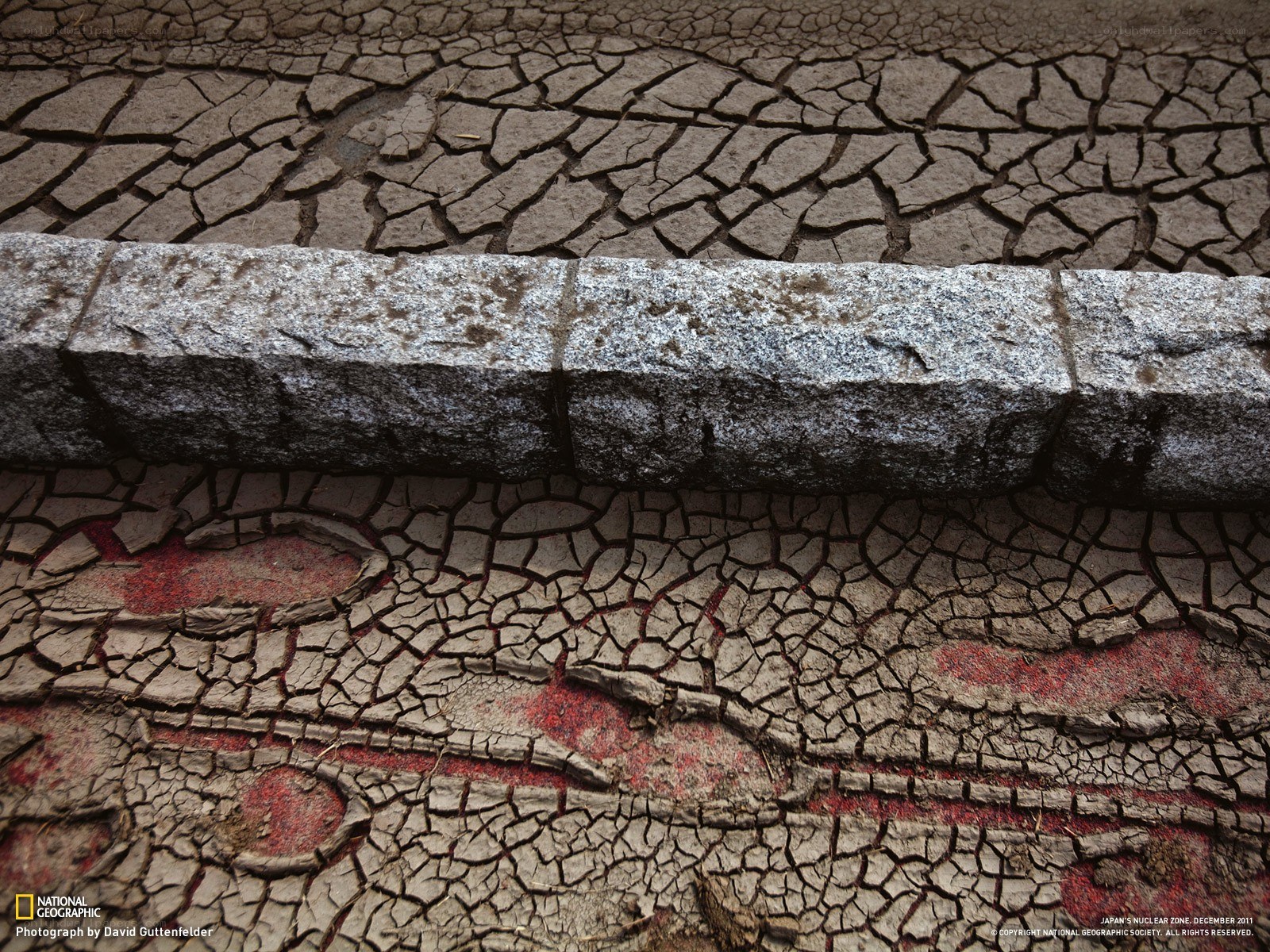 Cracked Earth in Nuclear Zone