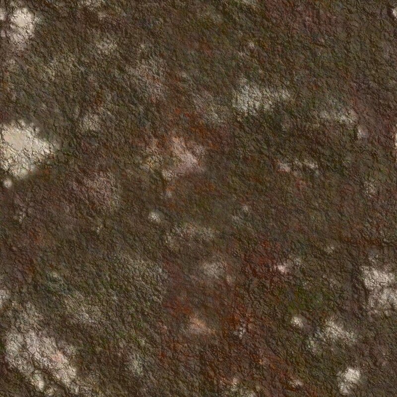 Cracked Earth Surface