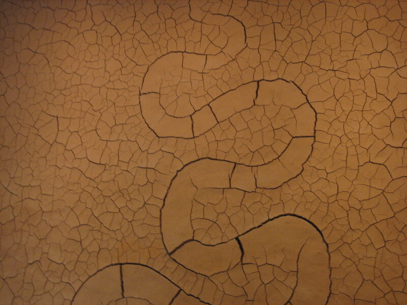 cracked earth texture with snake design
