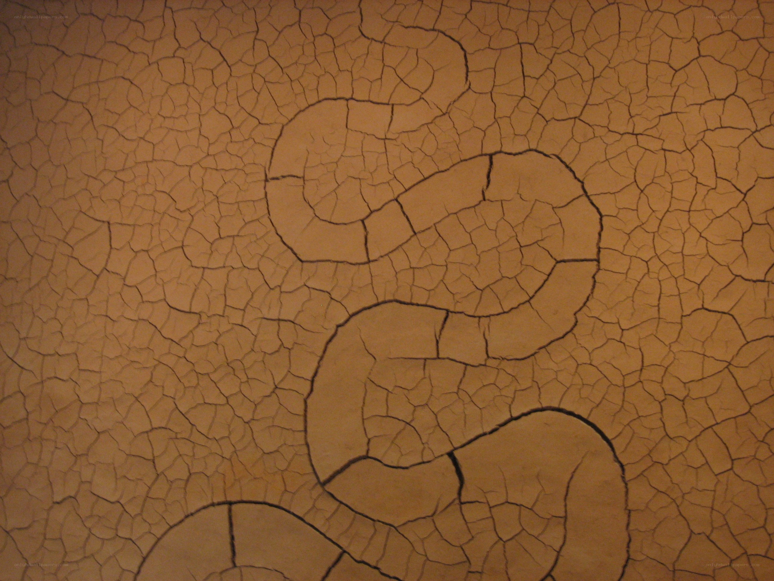 cracked earth texture with snake design