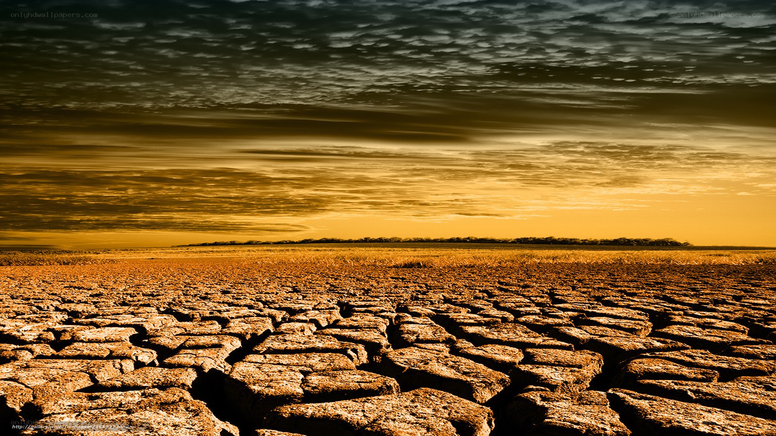 cracked earth under golden sky