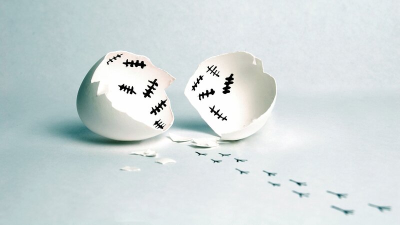 Cracked Eggshell with Stitches — White, Somber