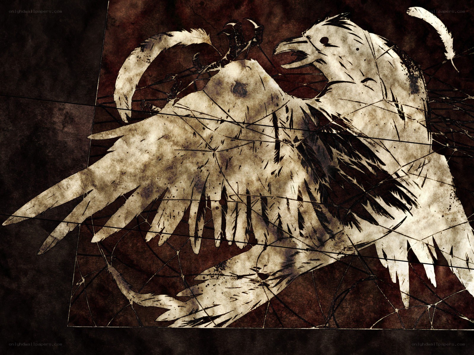 cracked glass bird illustration