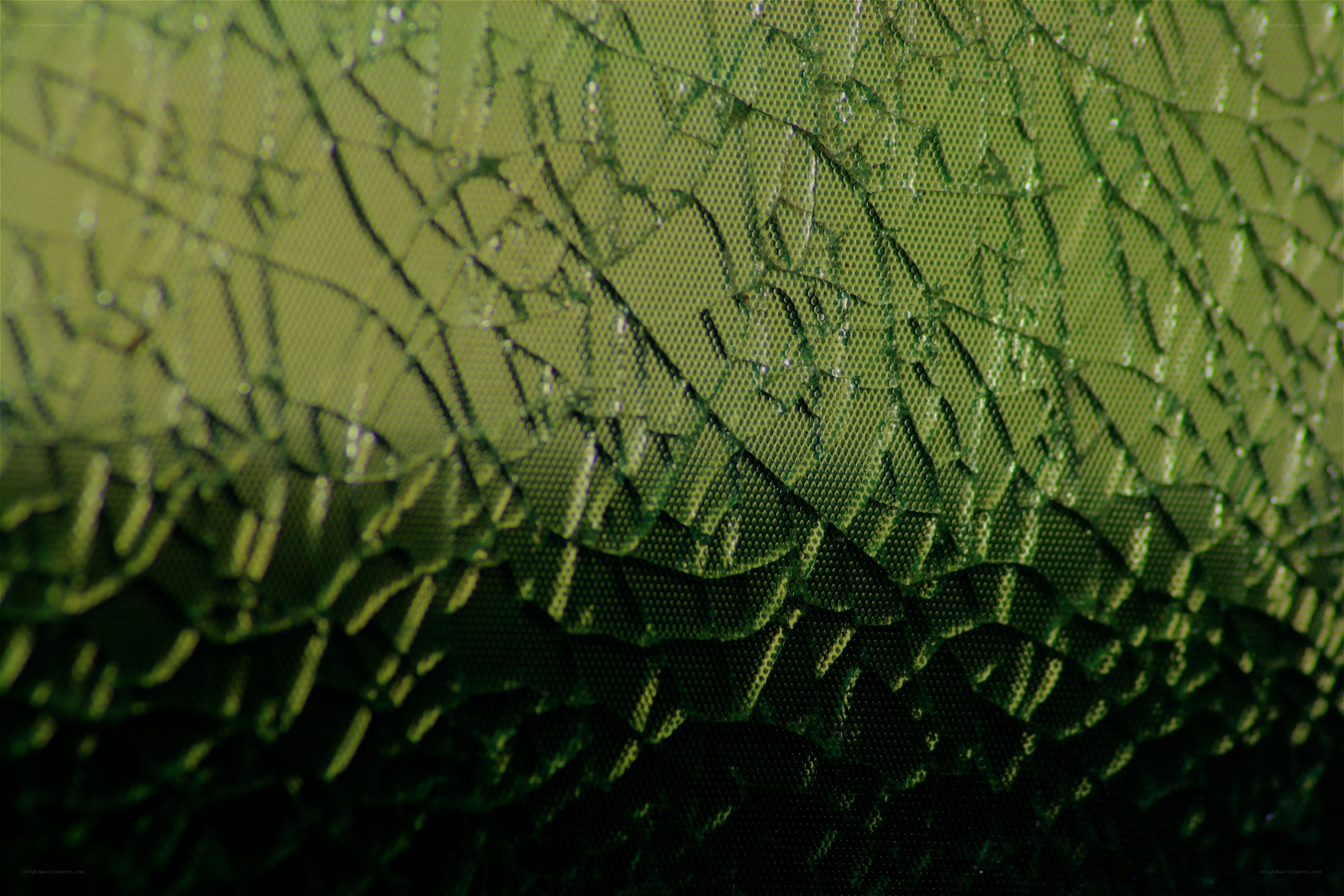 cracked green mesh surface