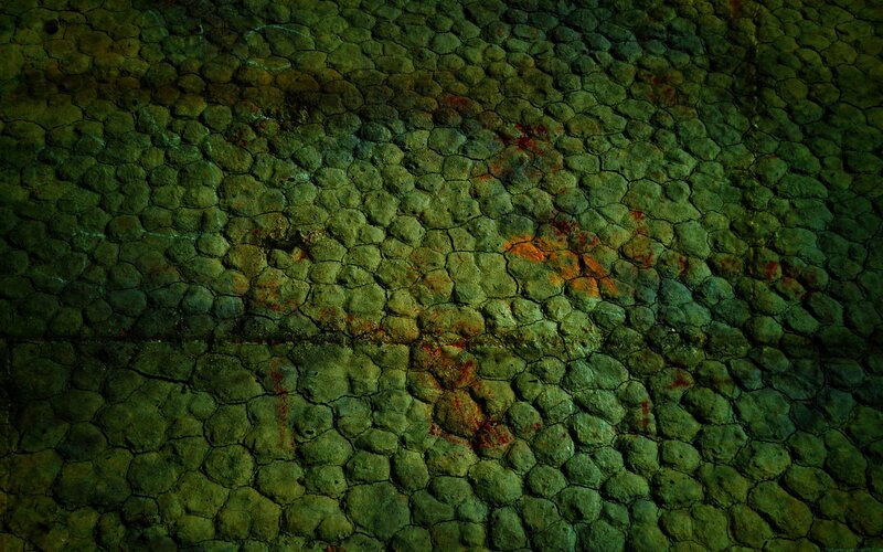 Cracked Green Surface