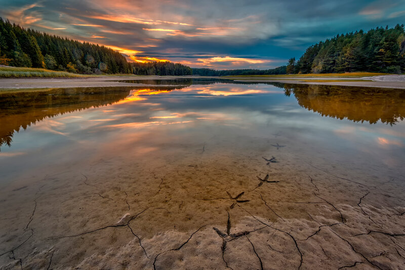 Cracked Lake Bed
