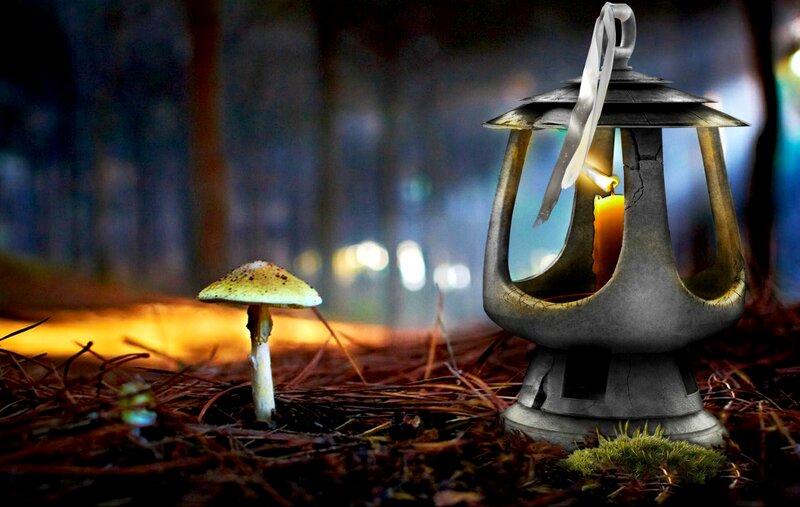 Cracked Lantern and Mushroom