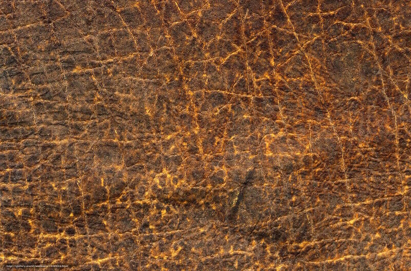 Cracked Leather Texture — Brown