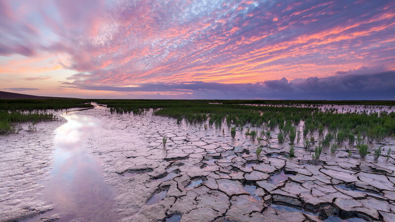 Cracked Mud Flats — Pink