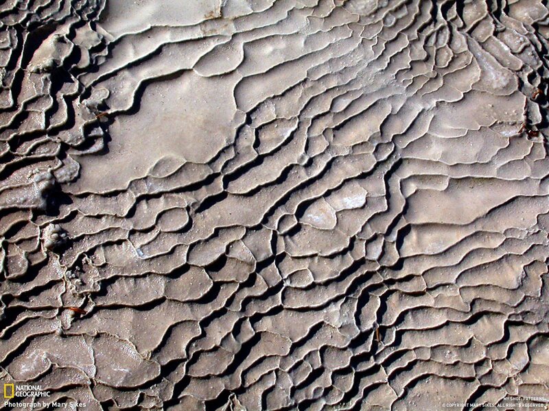 Cracked mud patterns