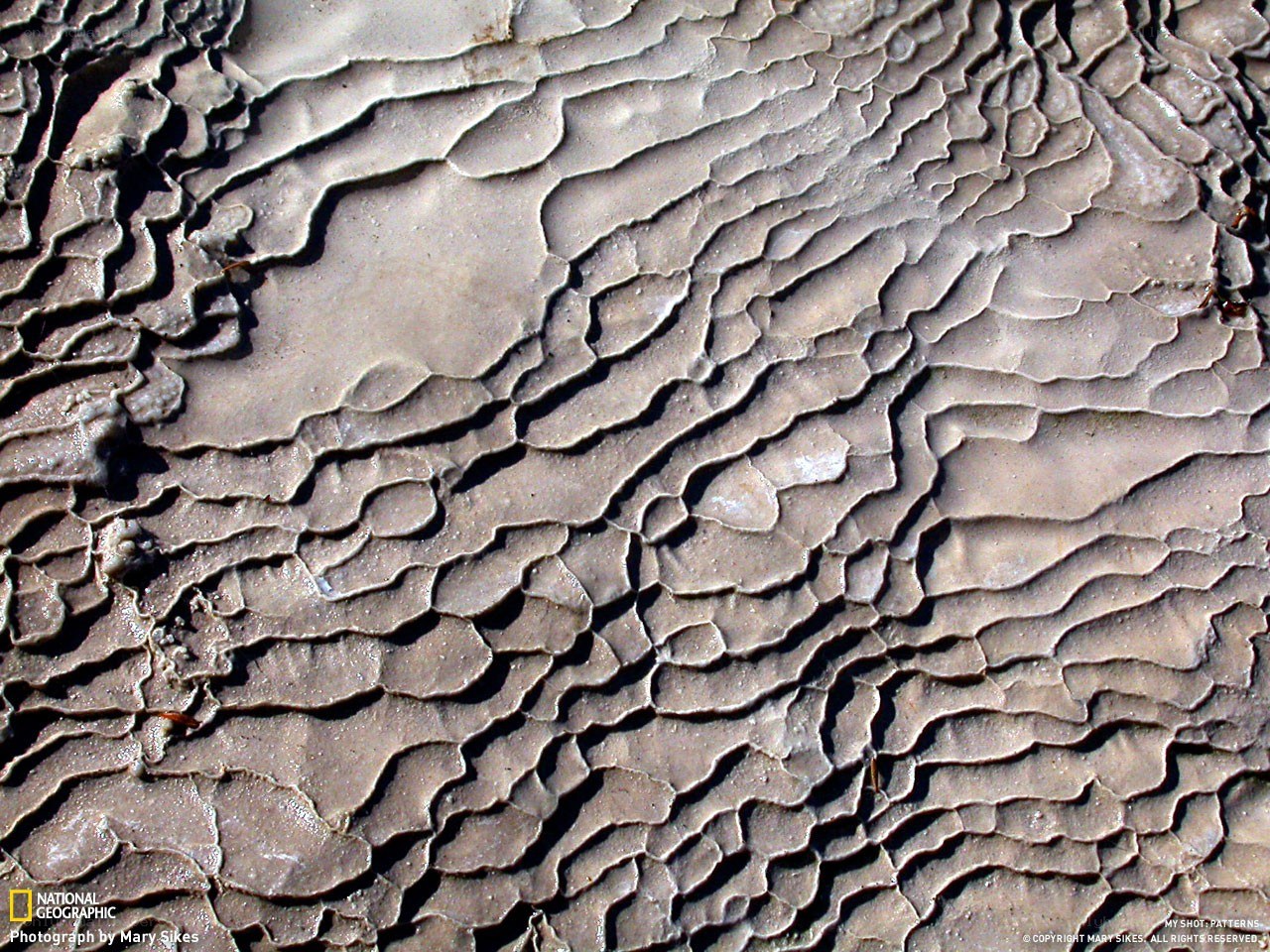 Cracked mud patterns