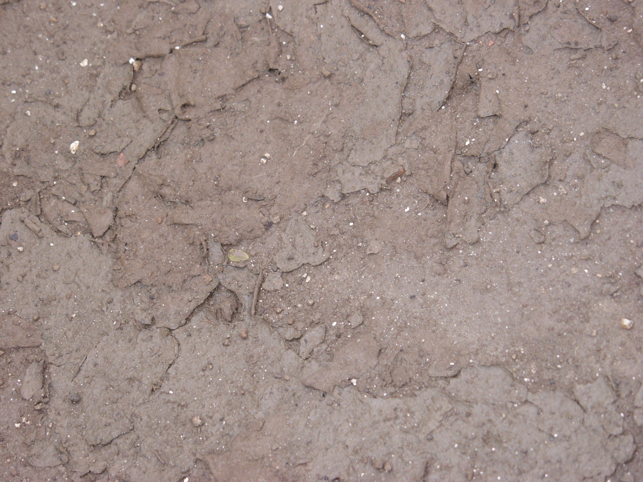 cracked mud surface