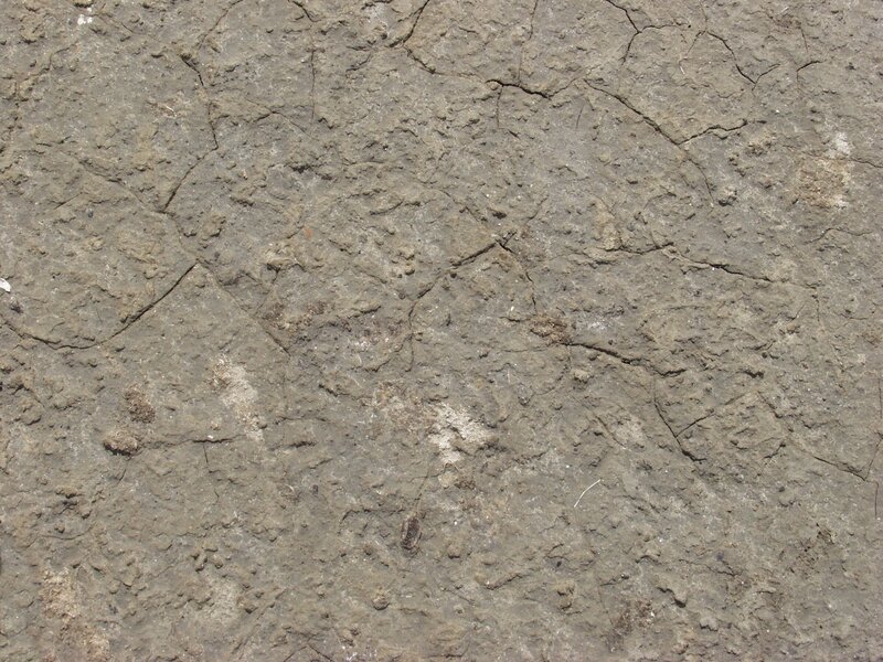 Cracked Mud Surface — Brown