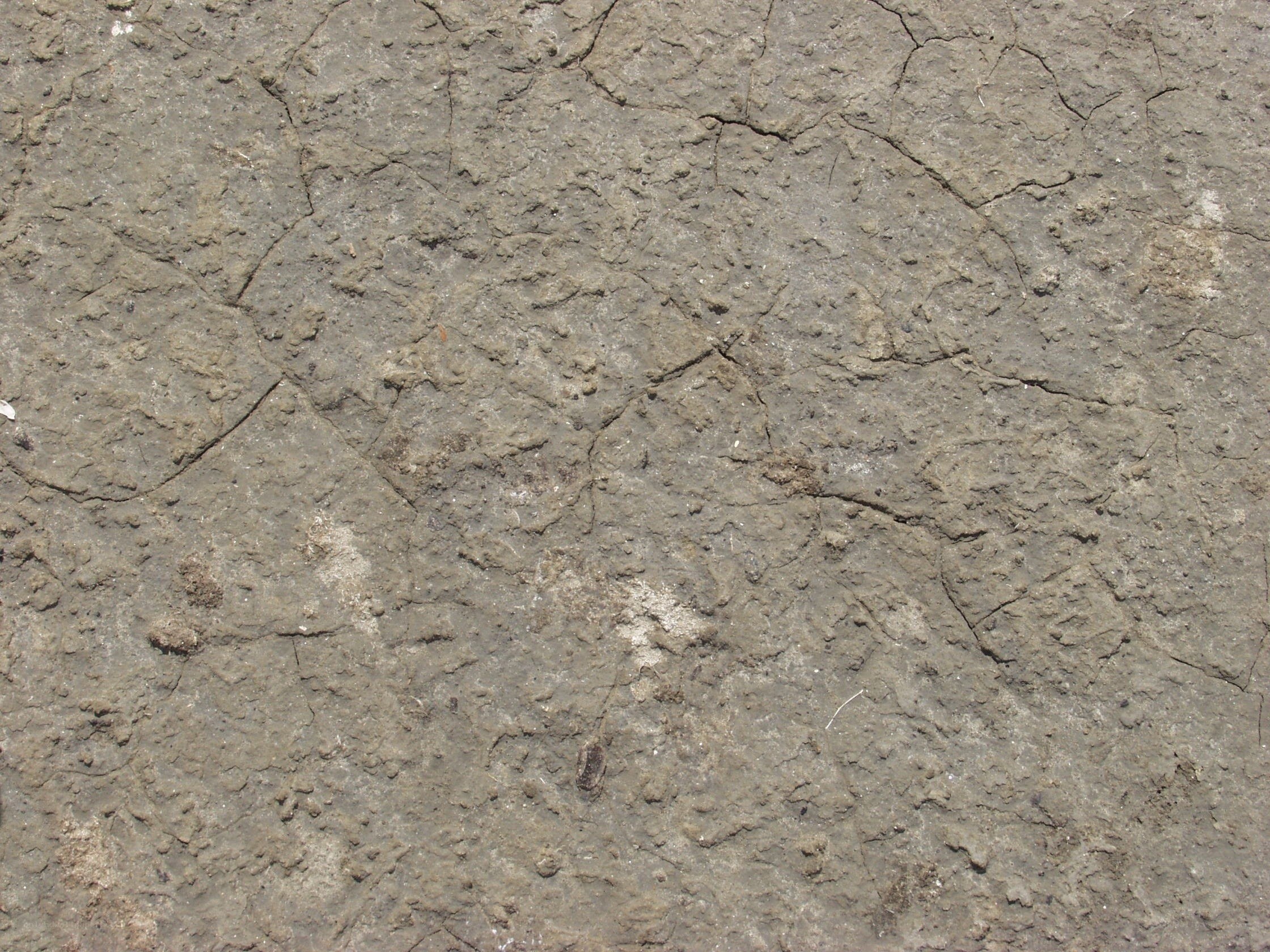 cracked mud surface
